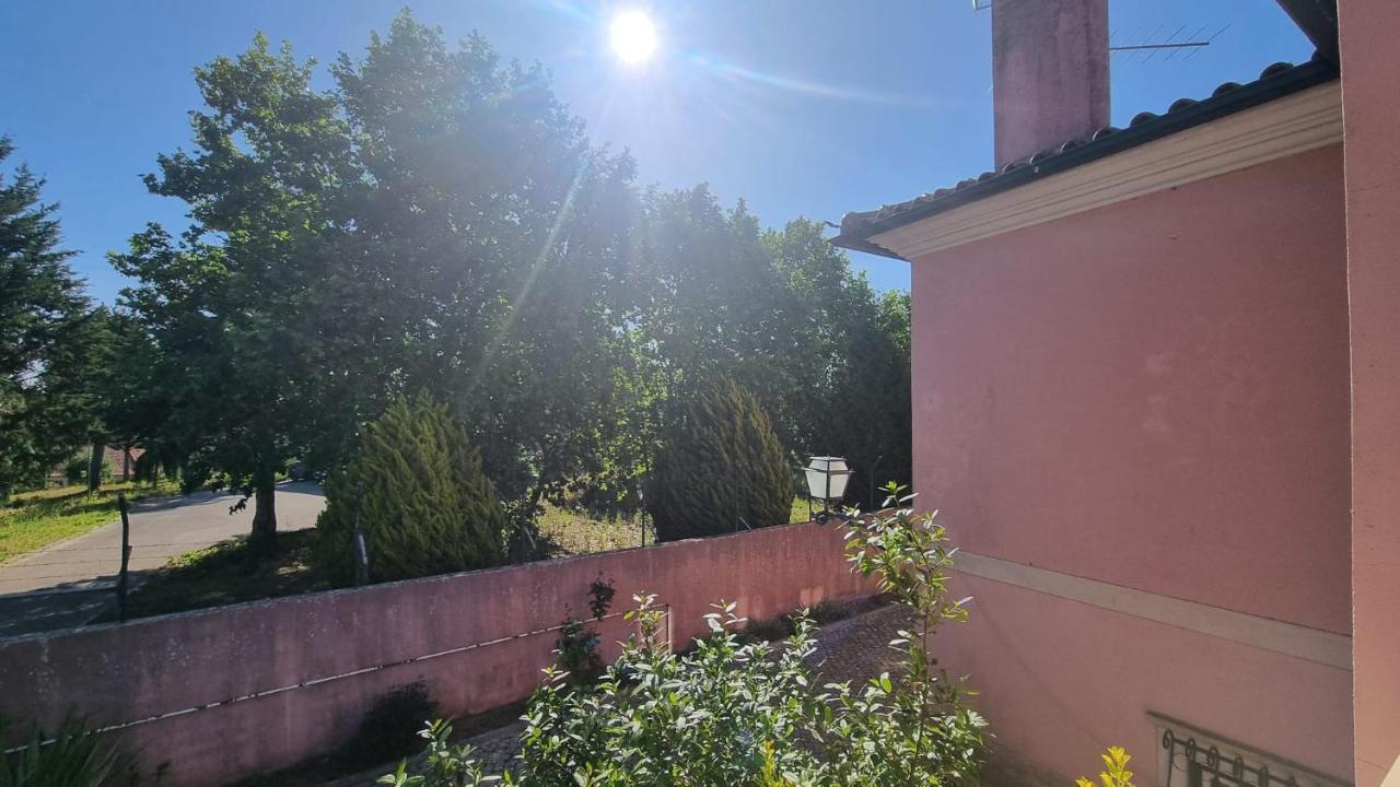Casa Da Palmeira Leiria Exteriér fotografie
