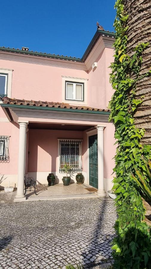 Casa Da Palmeira Leiria Exteriér fotografie