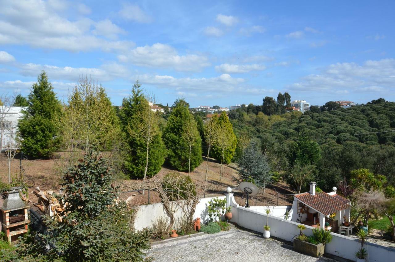 Casa Da Palmeira Leiria Exteriér fotografie