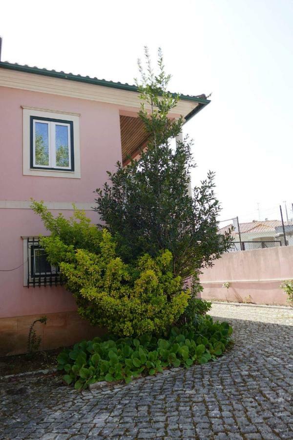 Casa Da Palmeira Leiria Exteriér fotografie